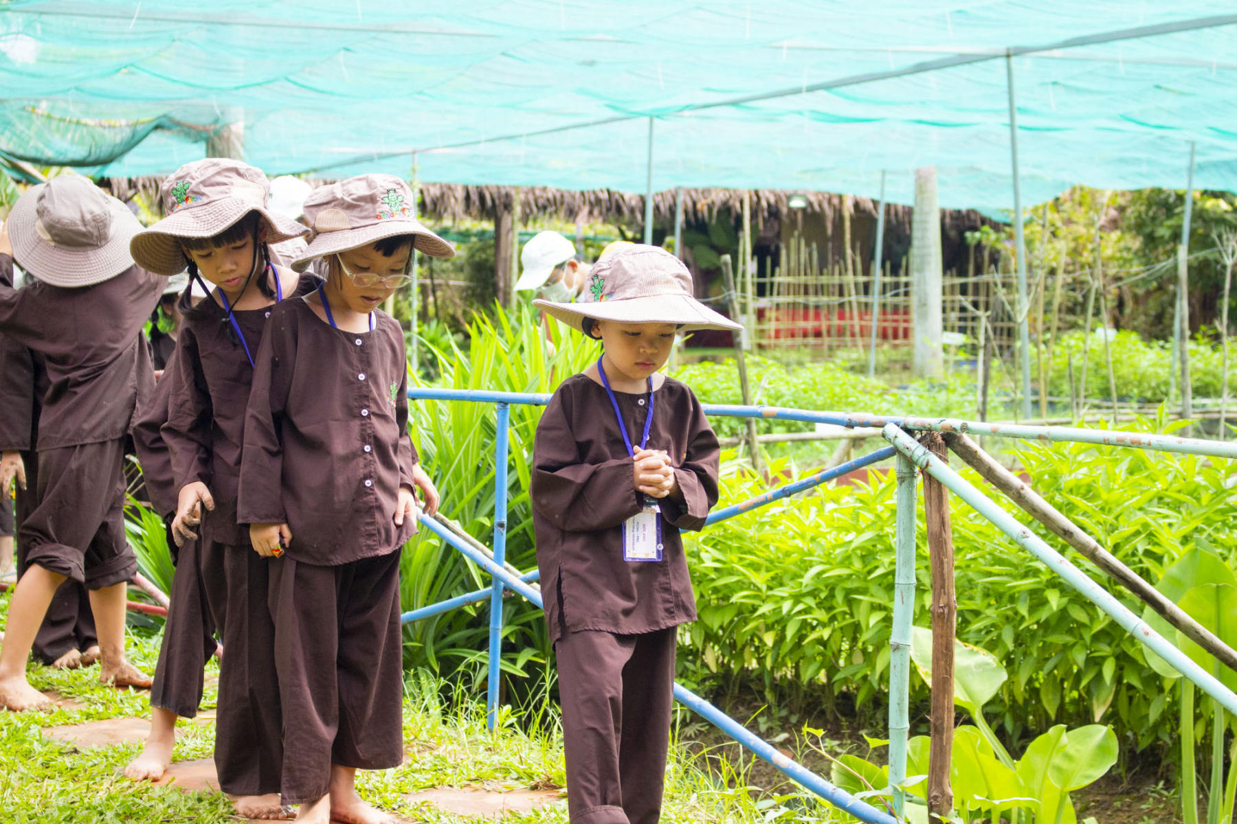 Field trip Dragon Farm