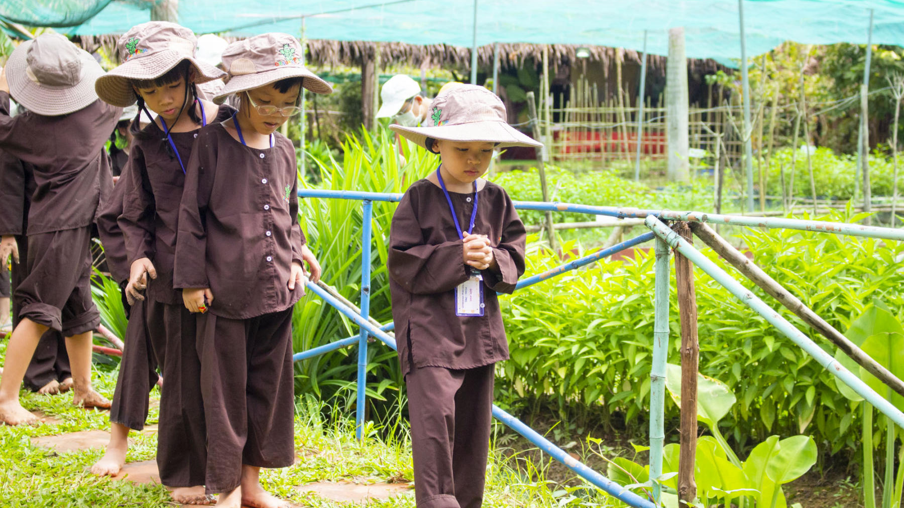Field trip Dragon Farm